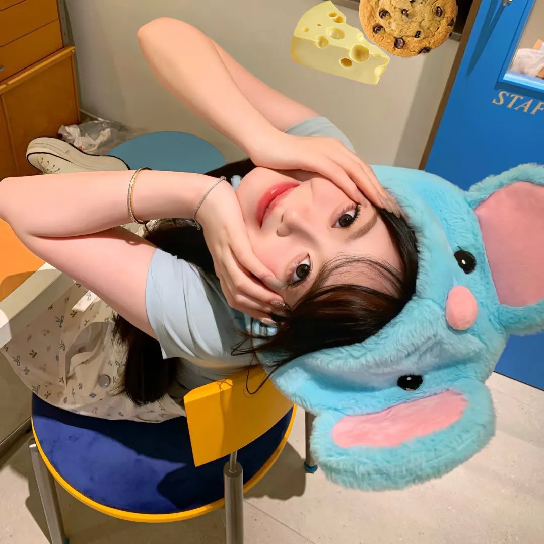 泡影昙花
